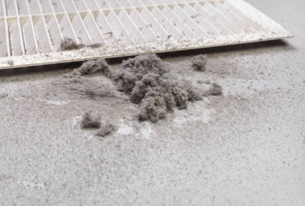 Best Affordable Duct Cleaning Services  in Broadview, IL