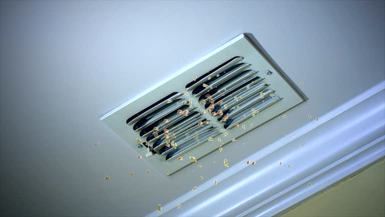 Best Affordable HVAC Duct Cleaning  in Broadview, IL